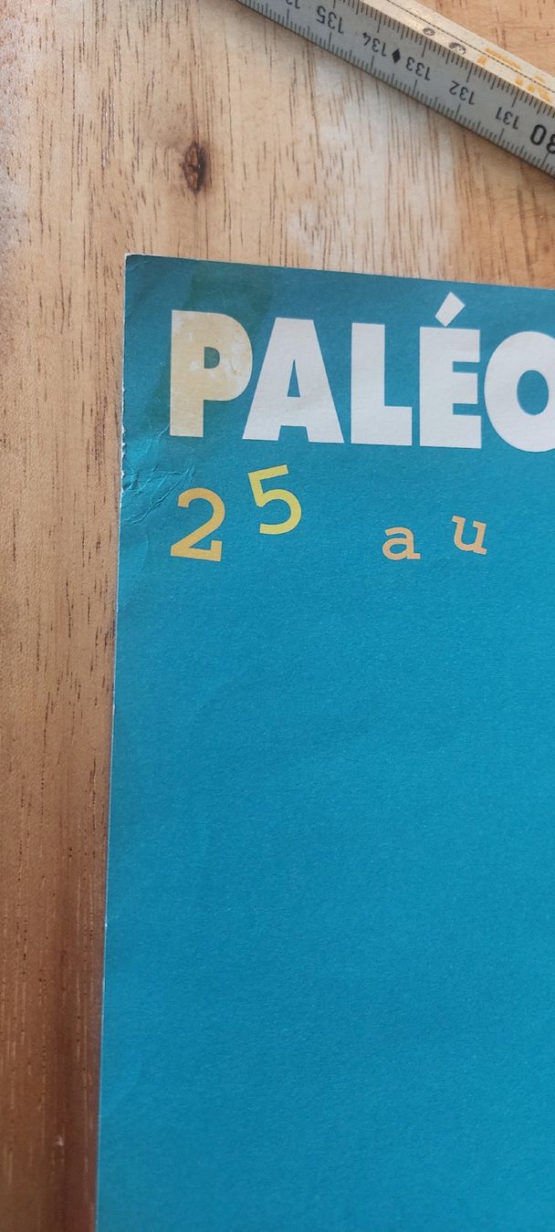 Poster & Bilder: affiche paleo festival 1995 – Gebraucht aus Muraz (Collombey) von Celine-v81 4