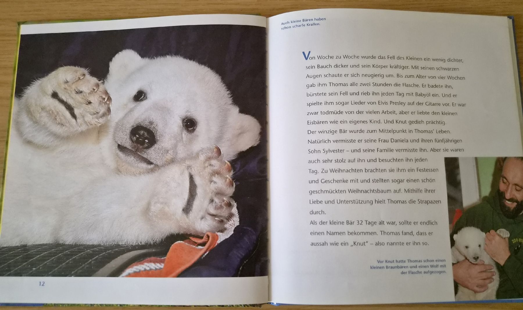 Bücher: Buch: Knut der kleine Eisbärenjunge – Gebraucht aus Urtenen-Schönbühl von Kahru 4