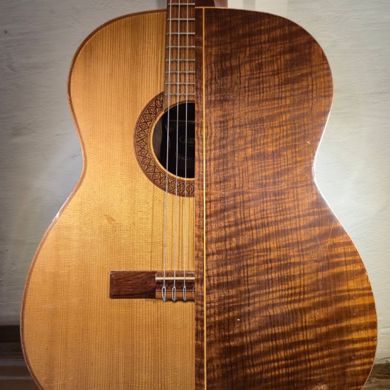 Giannini Strumenti musicali: Akustik Gitarre Giannini AWN 31 – Usato da Winterthur venduto da NorrSydGuitars 2