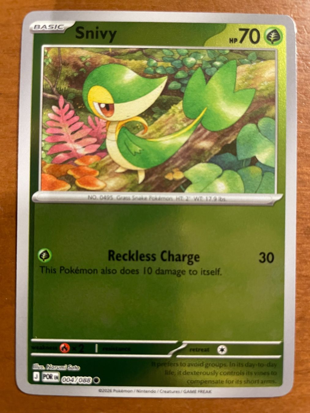 Pokémon Carte collezionabili: Pokemon Snivy Reverse (Versand gratis) – Nuovo (secondo la descrizione) da Chur venduto da Angerson
