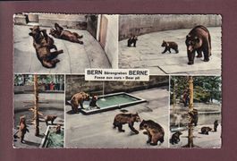 BERN - Bärengraben - 1961
