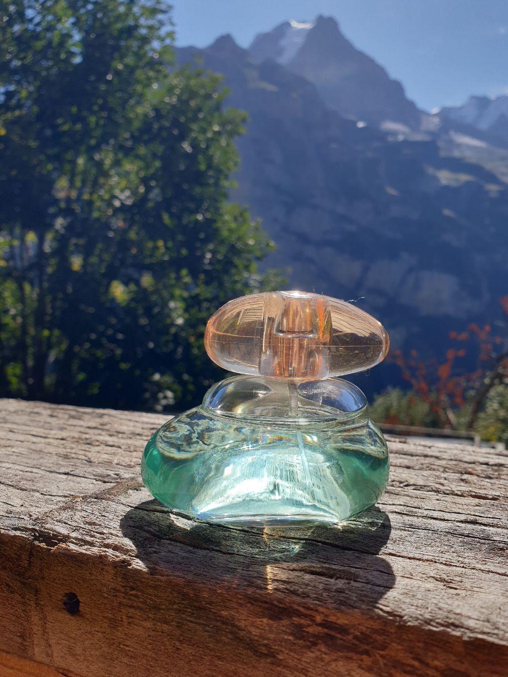Profumi & Eau de Toilette: Oriflame Elvie 50ml – Usato da Mürren venduto da EvaLeonard 1