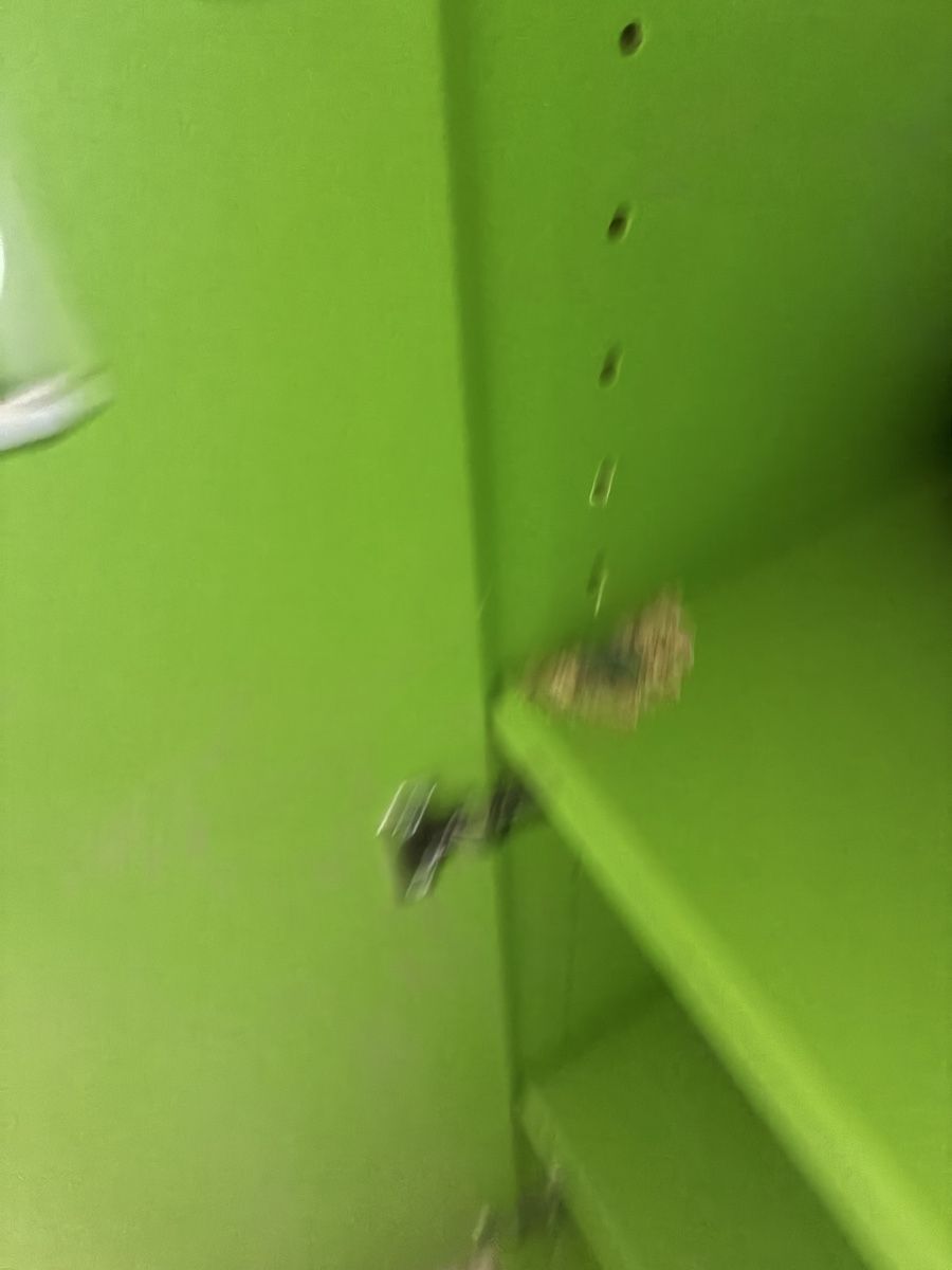 Armadi: Möbel Grün Tablare Türe Beine – Usato da Latterbach venduto da zimmerbraun 2