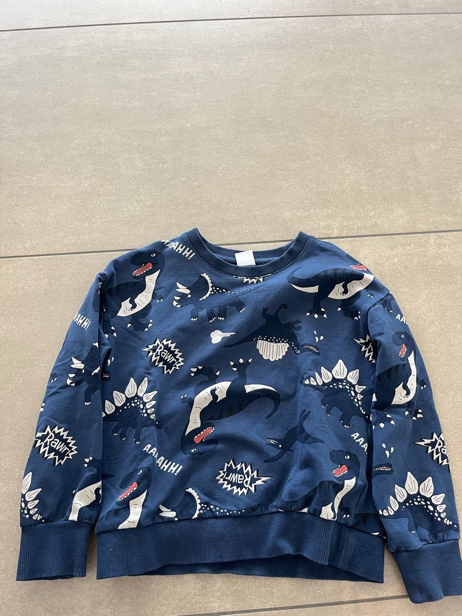 Maglioni & Felpe: ***LINDEX*** Dino-Pullover Gr. 122 – Usato da Volketswil venduto da Kephren 2