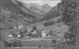 Weisstannen SG 1915 Gonzen und Gauschla