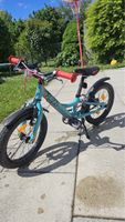 FLiZZi 16 Zoll Kindervelo