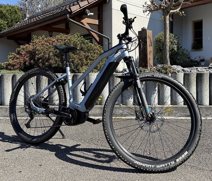 Biciclette: Bixs Access E20 Gor Cool Grey, E-Bike – Usato da Herznach venduto da baumileo 1