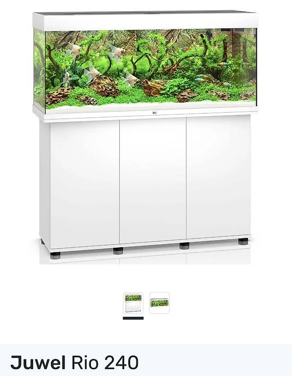 Acquari: Aquarium – Usato da Wichtrach venduto da sefom