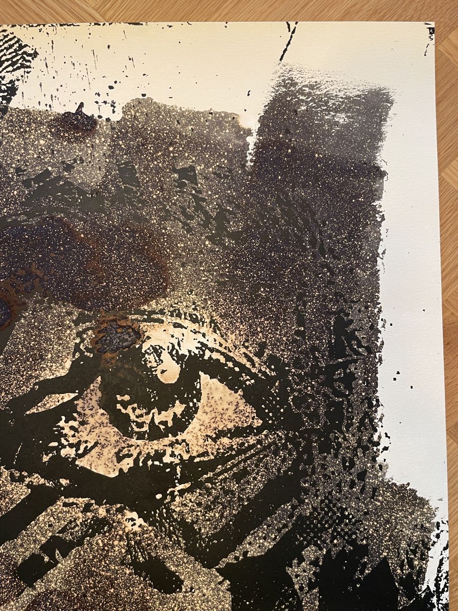 Grafica & Litografie: Vhils - Street Art – Nuovo e nell'imballaggio originale da La Tour-de-Trême venduto da ArtEnVue 3