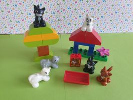 Duplo (Y82) Set Katzen
