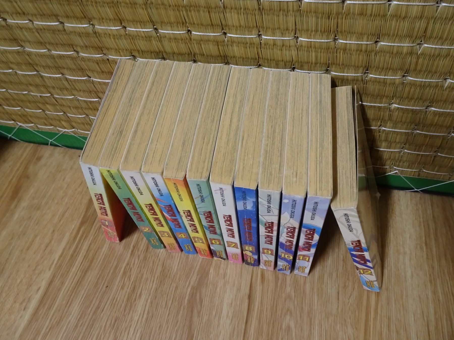 Fumetti: Tenchi Muyo! komplett – Usato da Winterthur venduto da Sintoras01 1