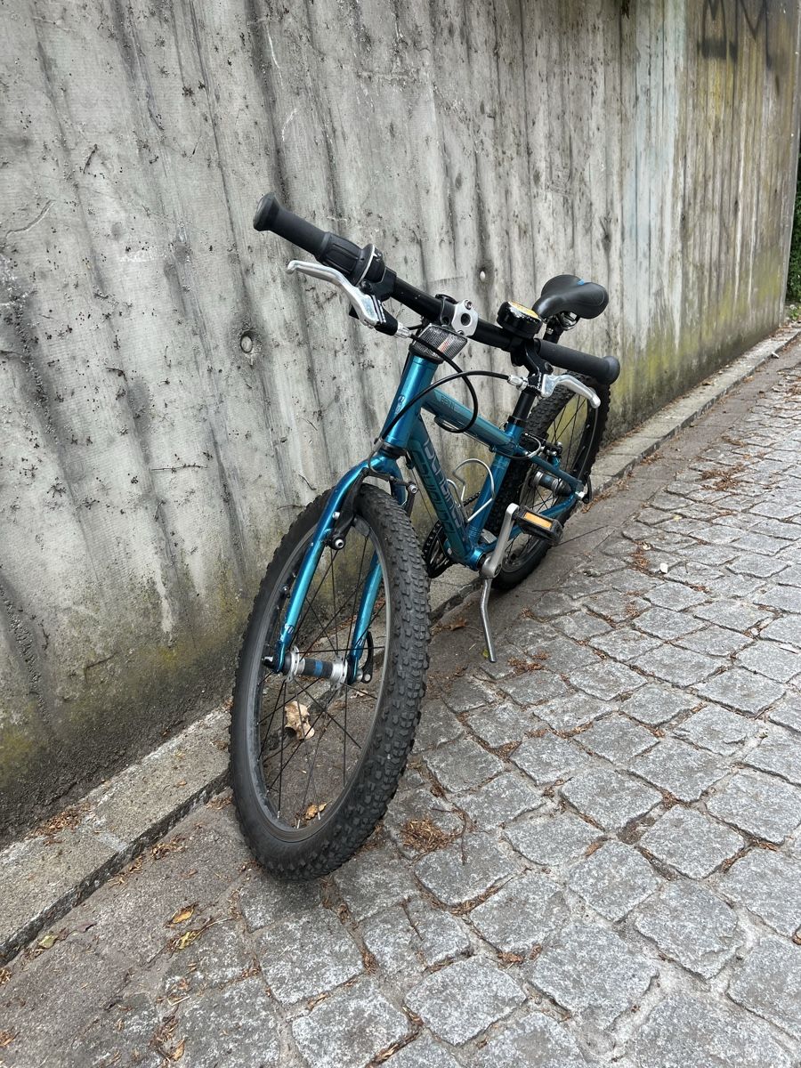 Islabike Biciclette: Islabike Beinn 20 small – Usato da Zürich venduto da CLNMY 1
