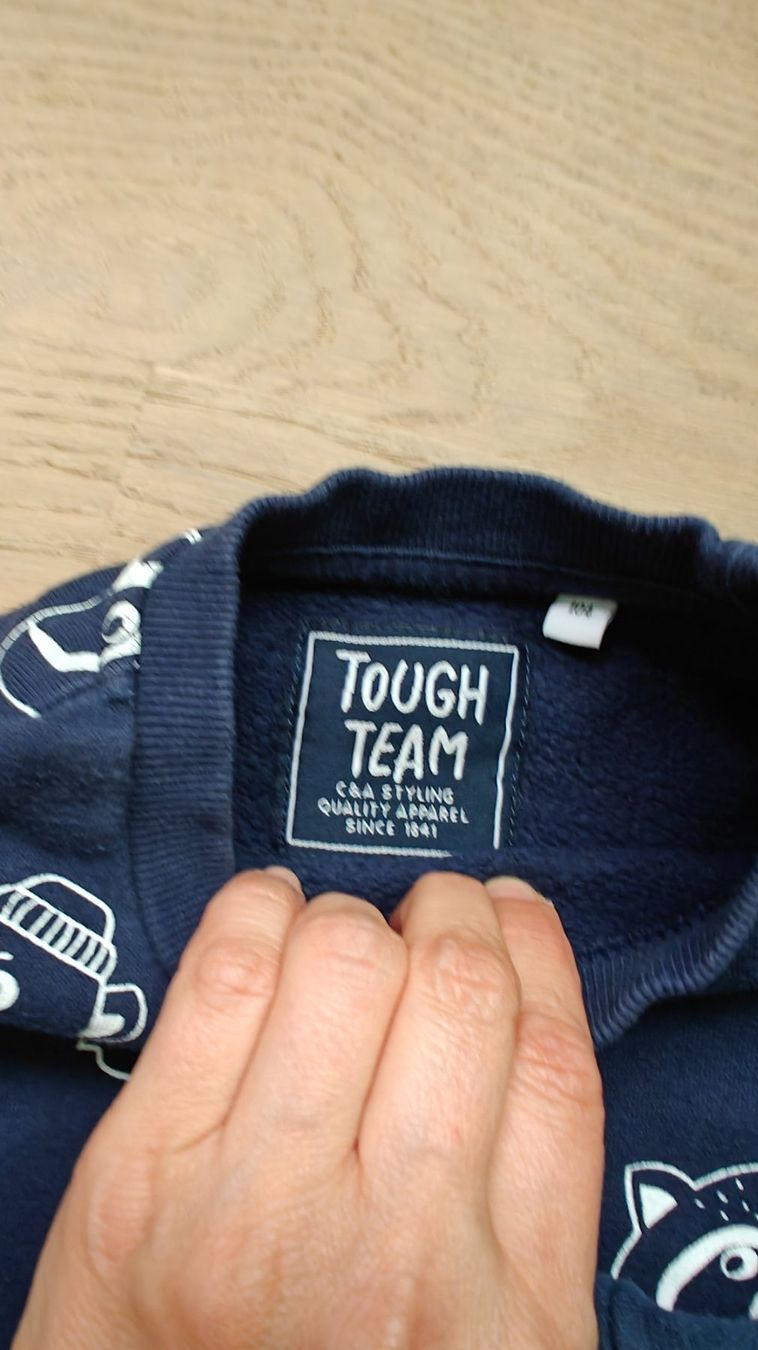 Pullover & Sweatshirts: Langarm Pullover und Hoody, Gr 104 und 98/104 – Gebraucht aus Zürich von ElizavetaT 1