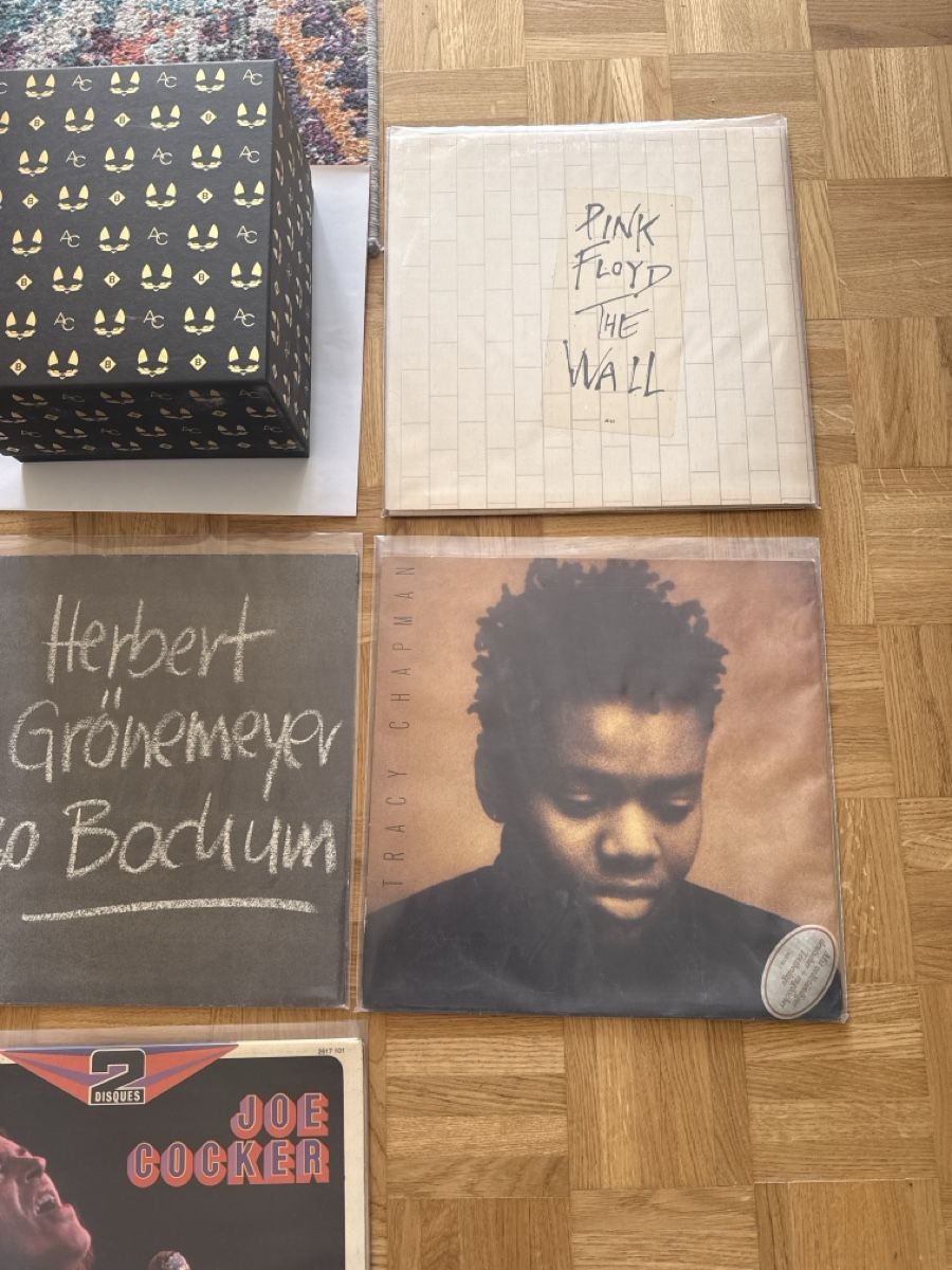Dischi in vinile: Kleine Vinyl/CD Sammlung – Usato da Solothurn venduto da AlllesMussRaus 2