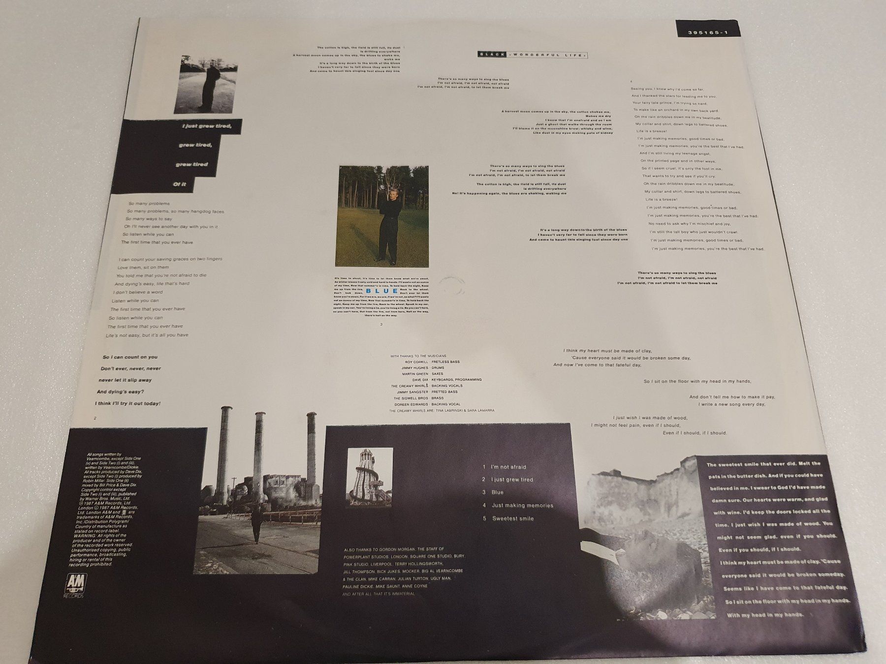 Dischi in vinile: Black – Wonderful Life – Usato da Uster venduto da Vinyl-Leidenschaft 3