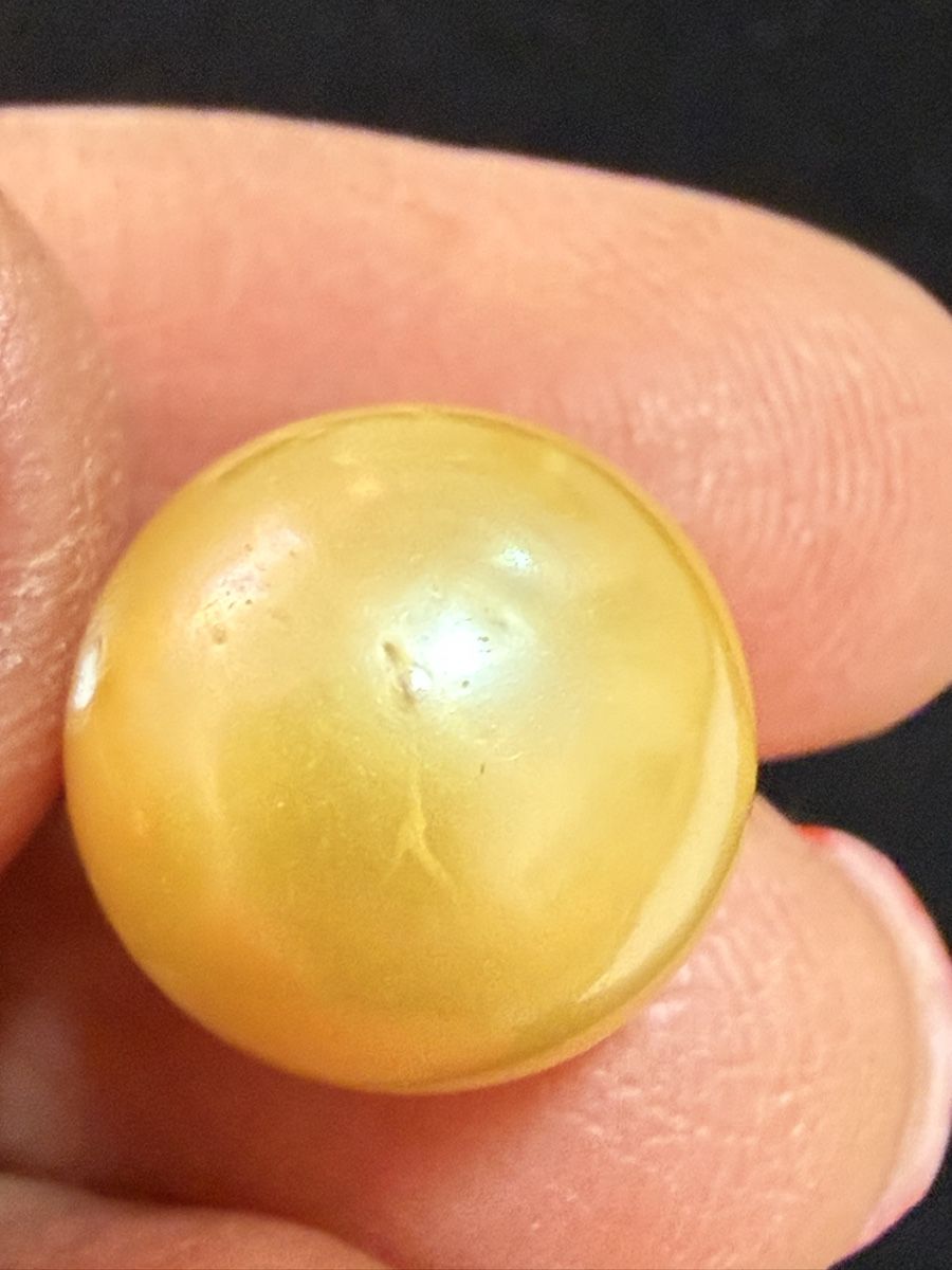 Perle (finte): Echt SüdSee Perlen Goldener Farbe – Nuovo (secondo la descrizione) da Oberhof venduto da RealStone 5