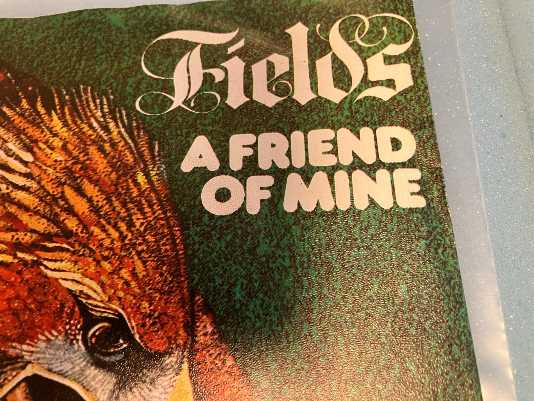 Dischi in vinile: Fields – Usato da Aarwangen venduto da Jukebox3 1