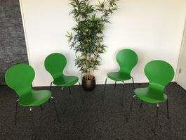 CLP Stühle Diego 4 Stück Metallgestell Holz Sitz