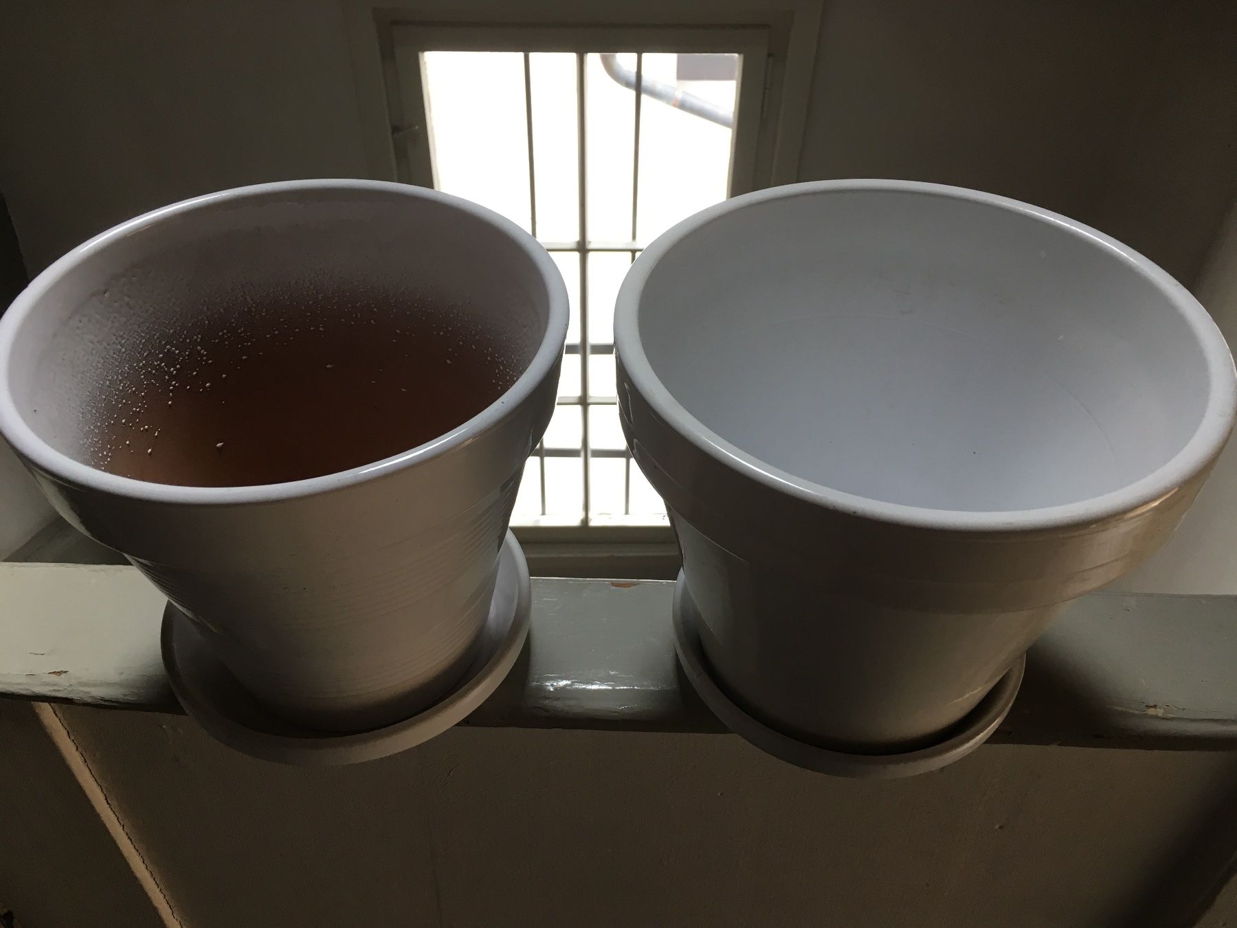 Vasi per fiori: 2 weisse glasierte Tontöpfe mit Unterteller – Usato da Bern venduto da robertch 1