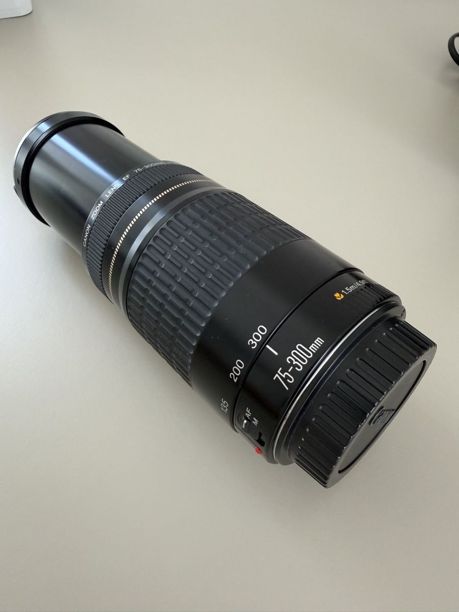 Canon Kamera: Canon EOS 250D mit Objektiven – Gebraucht aus Hasle LU von a-gaemperle 4