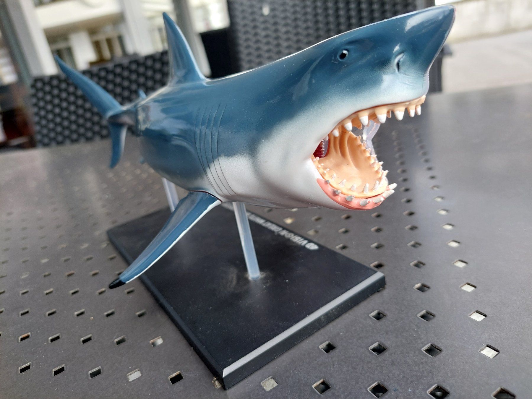 Modellbausätze & Standmodelle: 4D VISION - GREAT WHITE SHARK - ANATOMY MODEL – Gebraucht aus Spiegel b. Bern von  1