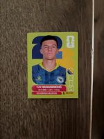 Panini Sticker BIH 5, Bosnien WM 2026