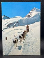 Jungfraujoch, Gletscherhorn, Rottalhorn, Polarhunde