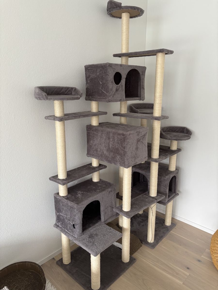 Tiragraffi: Kratzbaum Katzen 214cm grau – Usato da Lömmenschwil venduto da tmr_xx 1