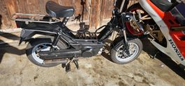 Mofa Piaggio Gilera Citta (Ciao bravo Si CBA mit Ch Ausweis)