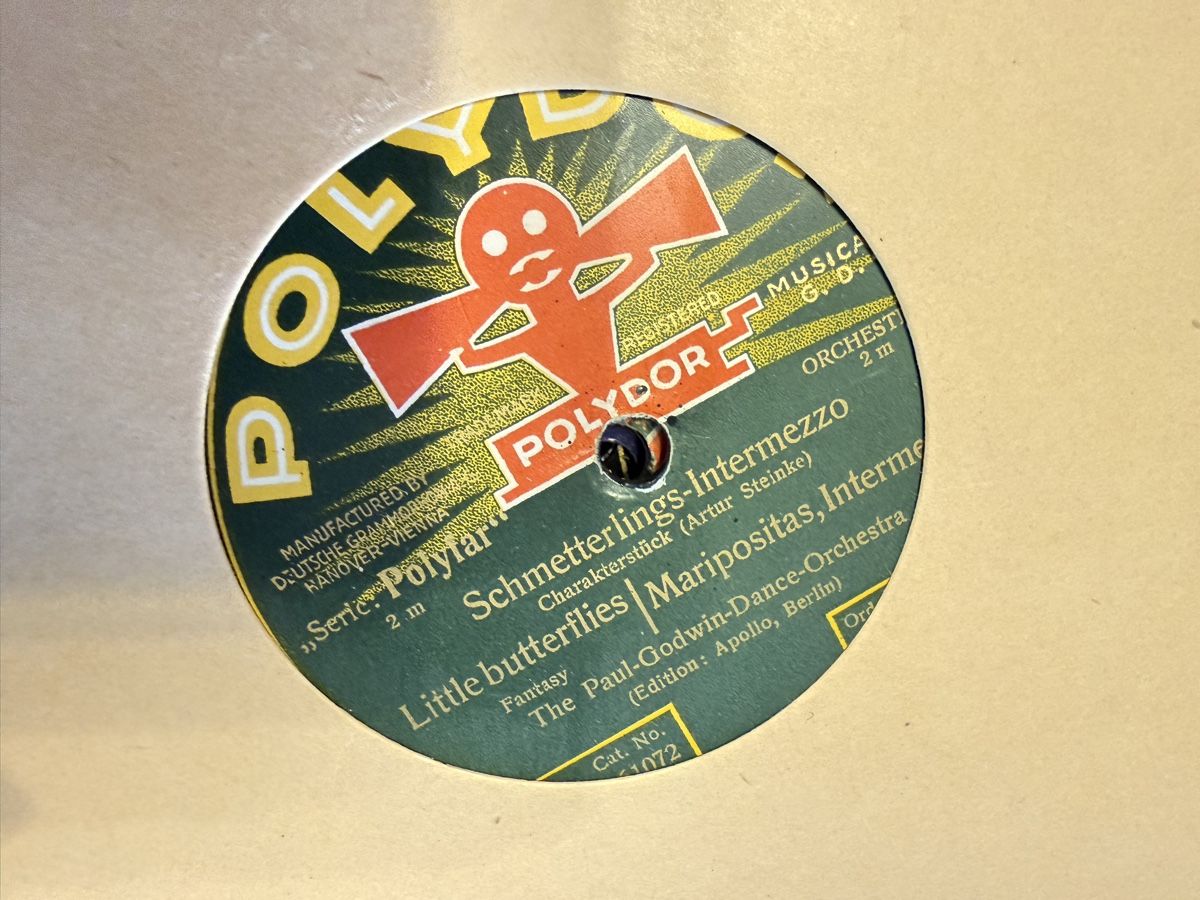 Dischi in vinile: 11 Schellack Schallplatten 78 u/min.  – Usato da Goldach venduto da Donpancho 1