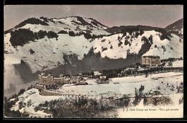 AK Caux, Vue generale, 1925