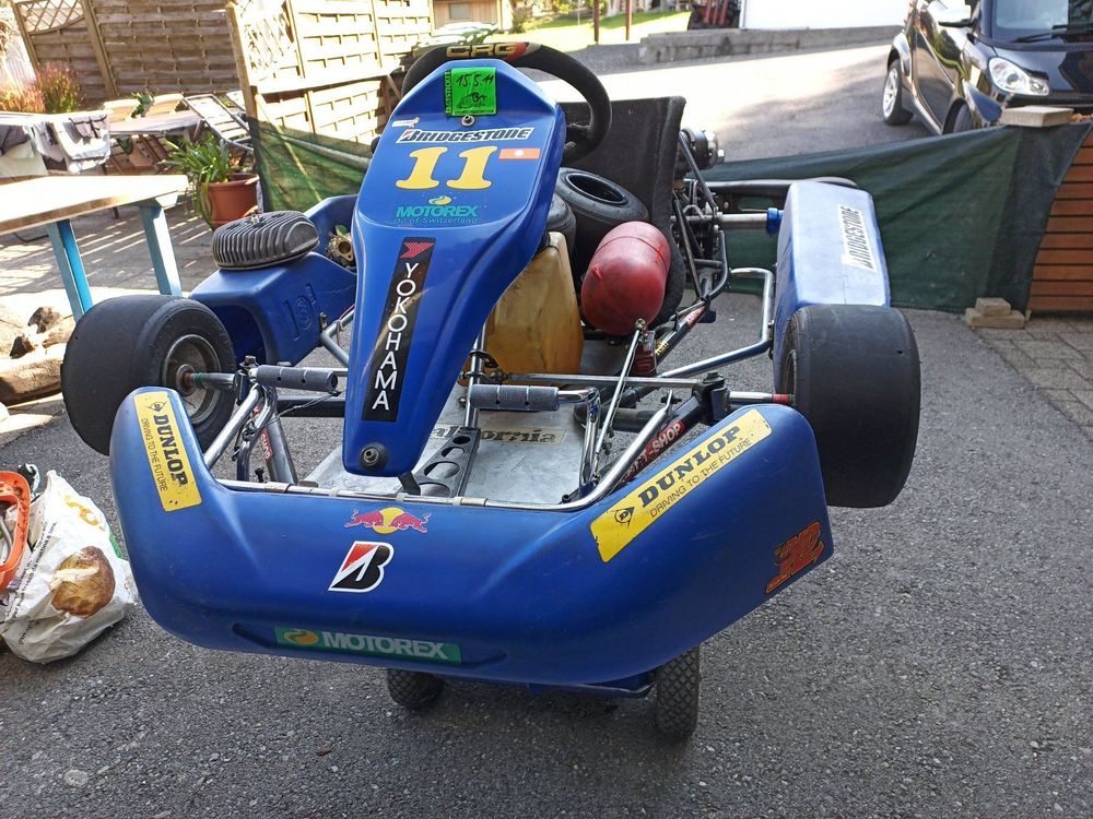 Go Kart Rennkart (Gebraucht) In Steinebrunn Für CHF 851 - Nur Abholung Auf Kaufen