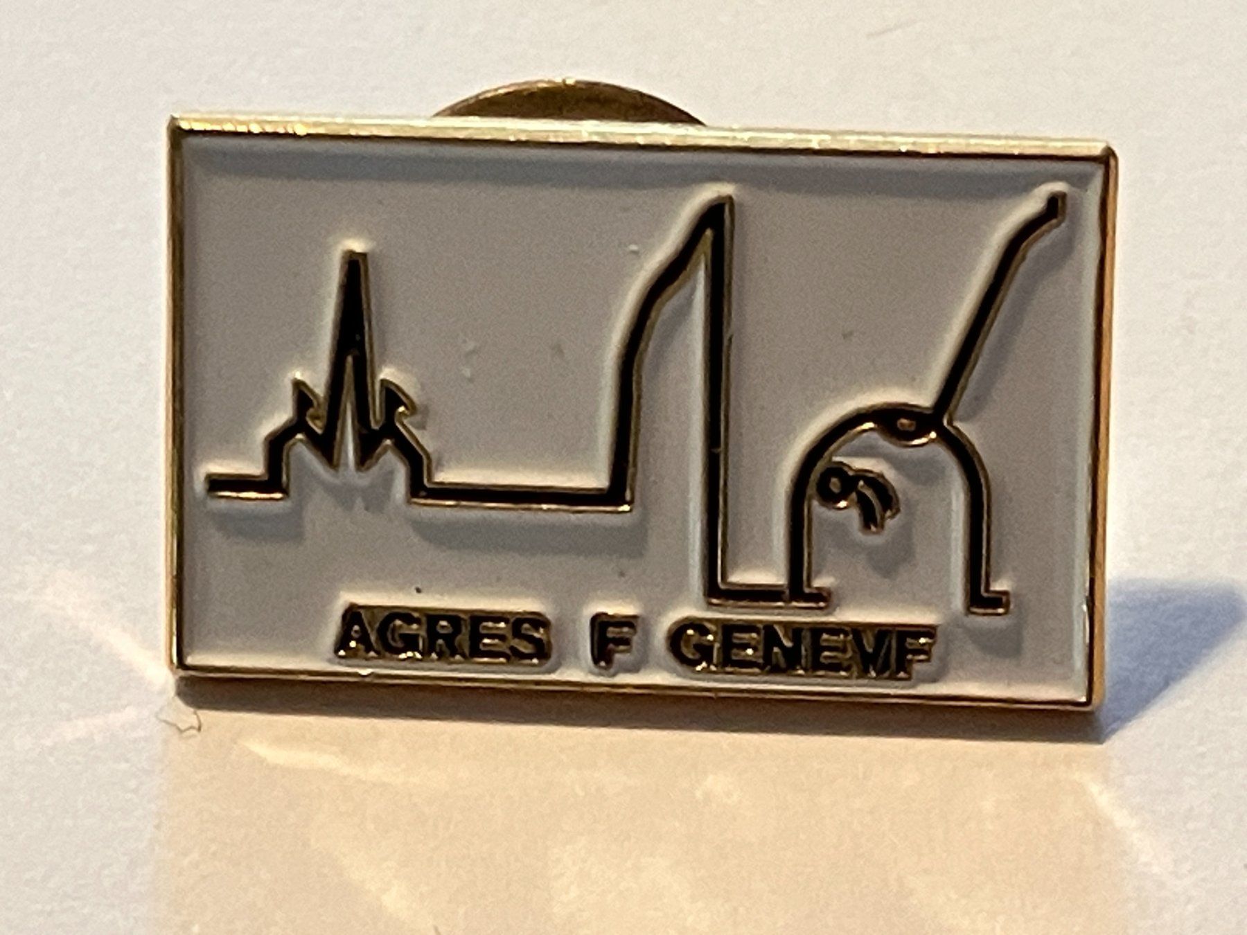 Placchette & Badge: 1 Pin Agres F Genevif – Usato da Basel venduto da djwwpp