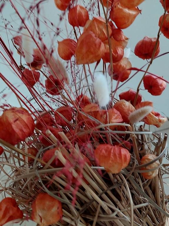 Tutte le decorazioni: Trockenblumen  Dekoration neu – Nuovo e nell'imballaggio originale da windisch venduto da gravity2 2
