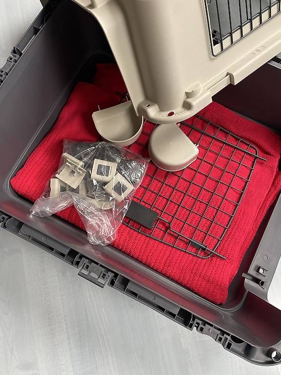 Gabbie, trasporto & Sicurezza: Hunde Transport Box – Usato da Schmitten FR venduto da Zimtstengel 4