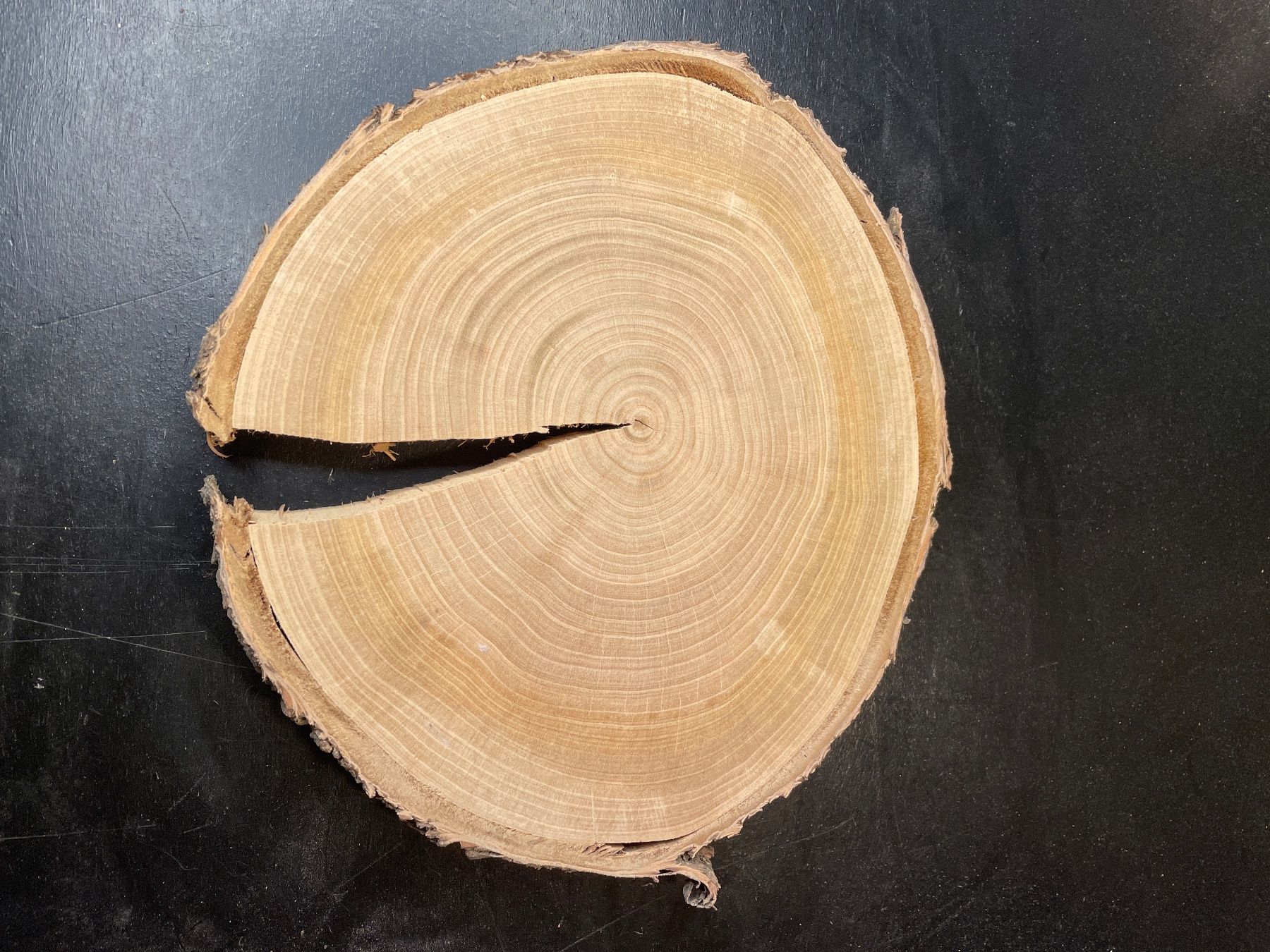 Articoli in legno: Holzscheibe Kirsche alt – Usato da Brunnen venduto da Holz-style 4