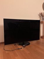 Panasonic OLED TV 55" (TX-55JZC1004) Top Bildqualität