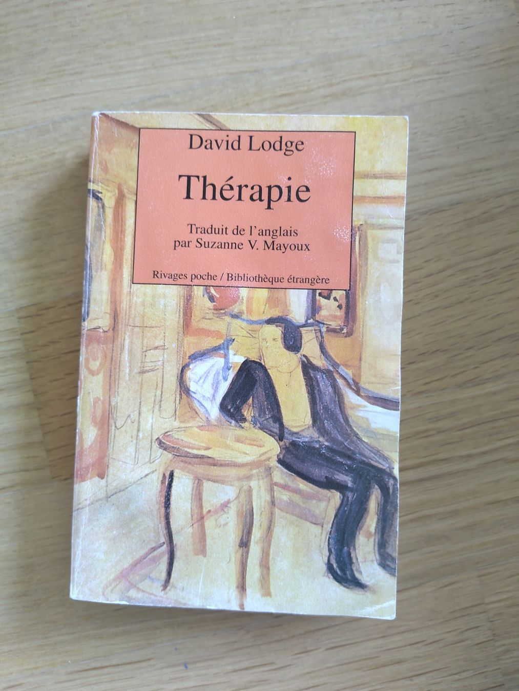 Libri: Thérapie de David lodge – Usato da Denges venduto da lay_xpy7
