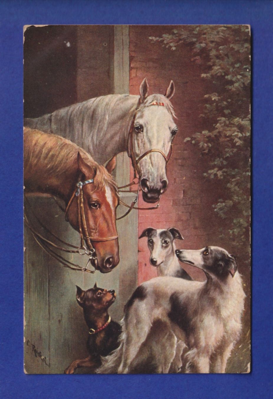 Cartoline postali: CHIEN et CHEVAL / HUND und PFERD – Usato da Pully venduto da nicecards-shop