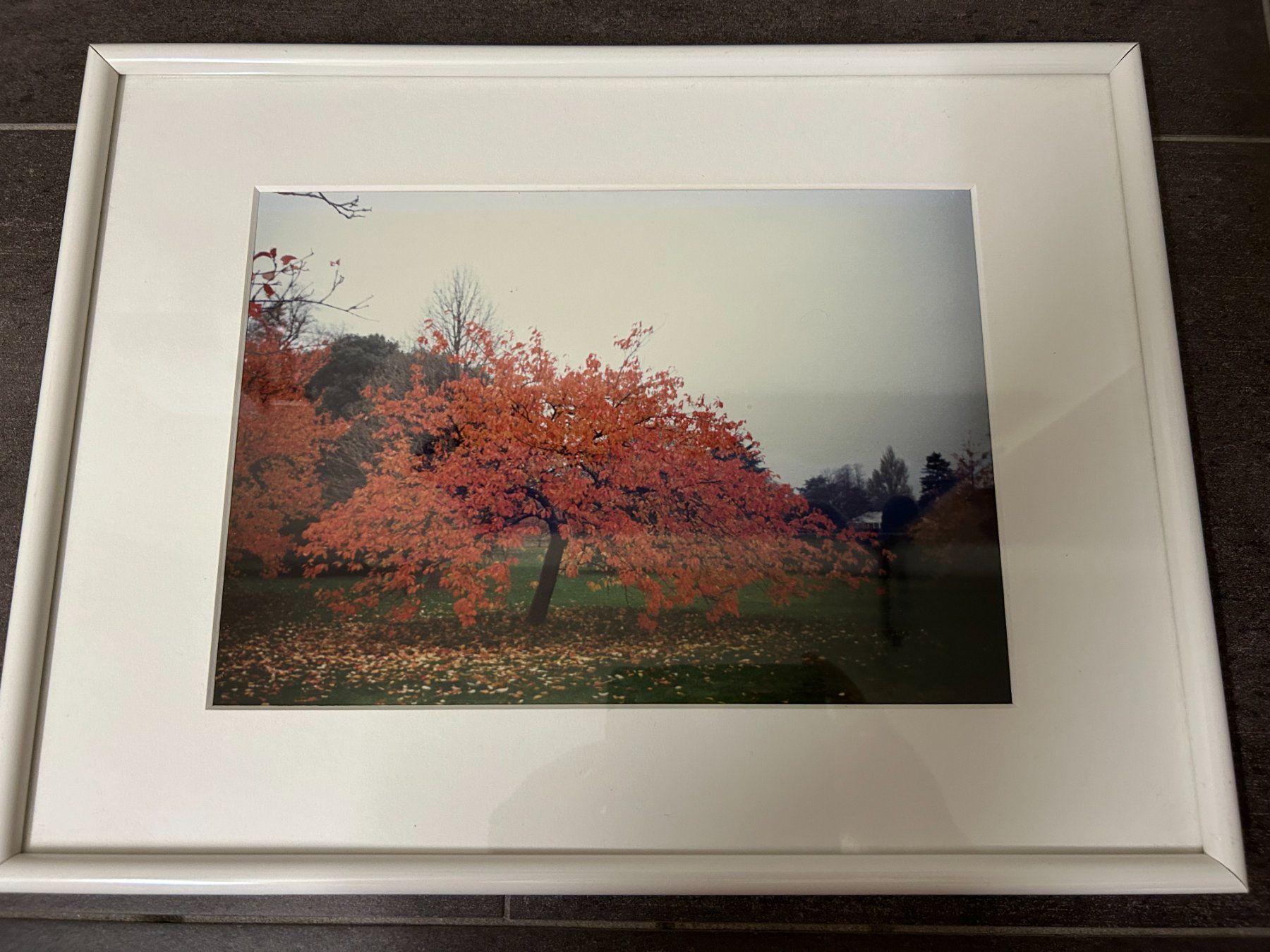 Foto & Immagini: buntes Herbstfoto - Unikat – Usato da Hagendorn venduto da Teora66