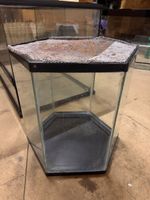 Glassterrarium