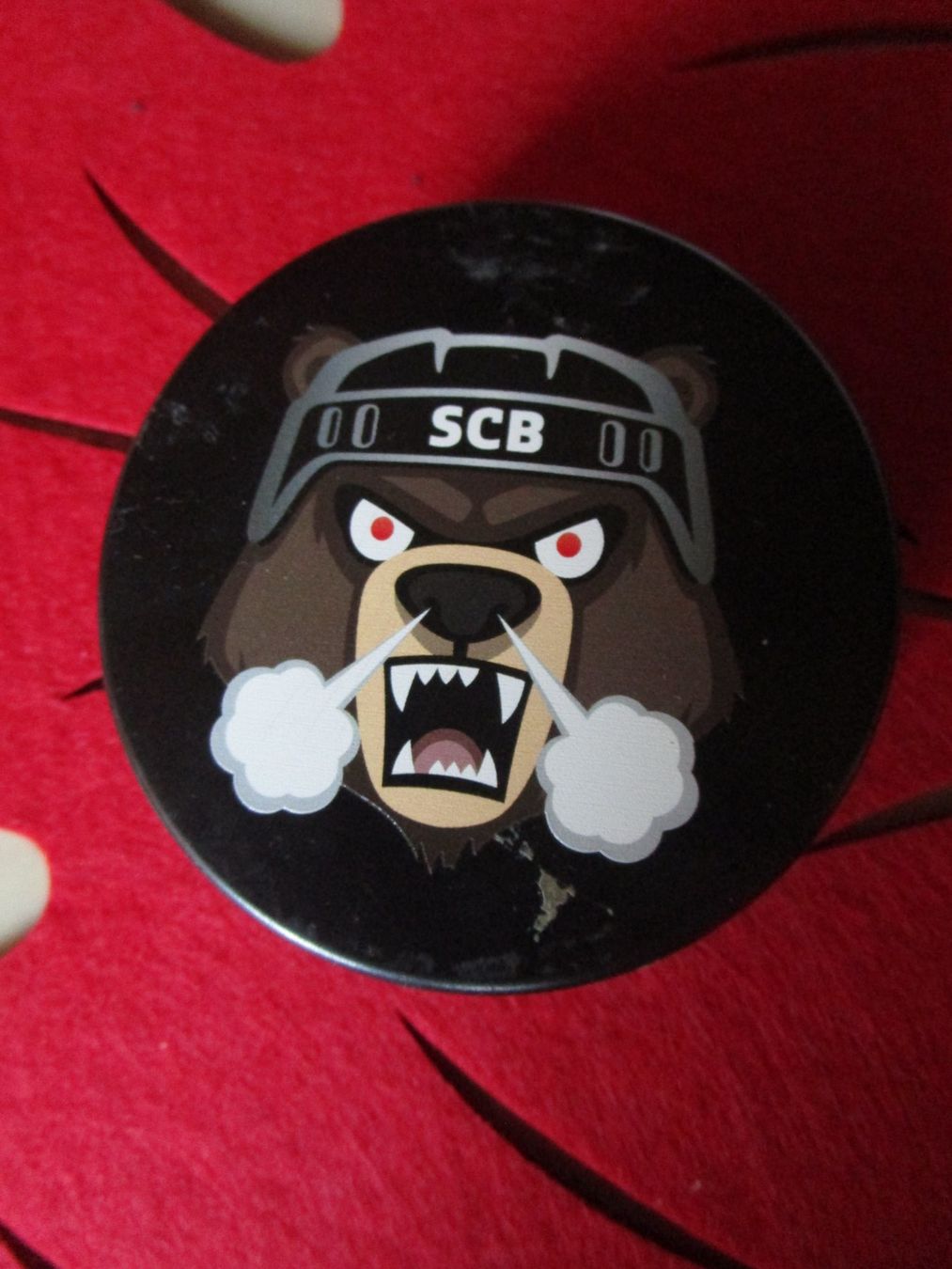 Autografi: SC BERN EISHOCKEY PUCK SAMMLUNG MIT AUTOGRAMMEN ANTIK – Usato da GUTENSWIL venduto da Alpina6 2