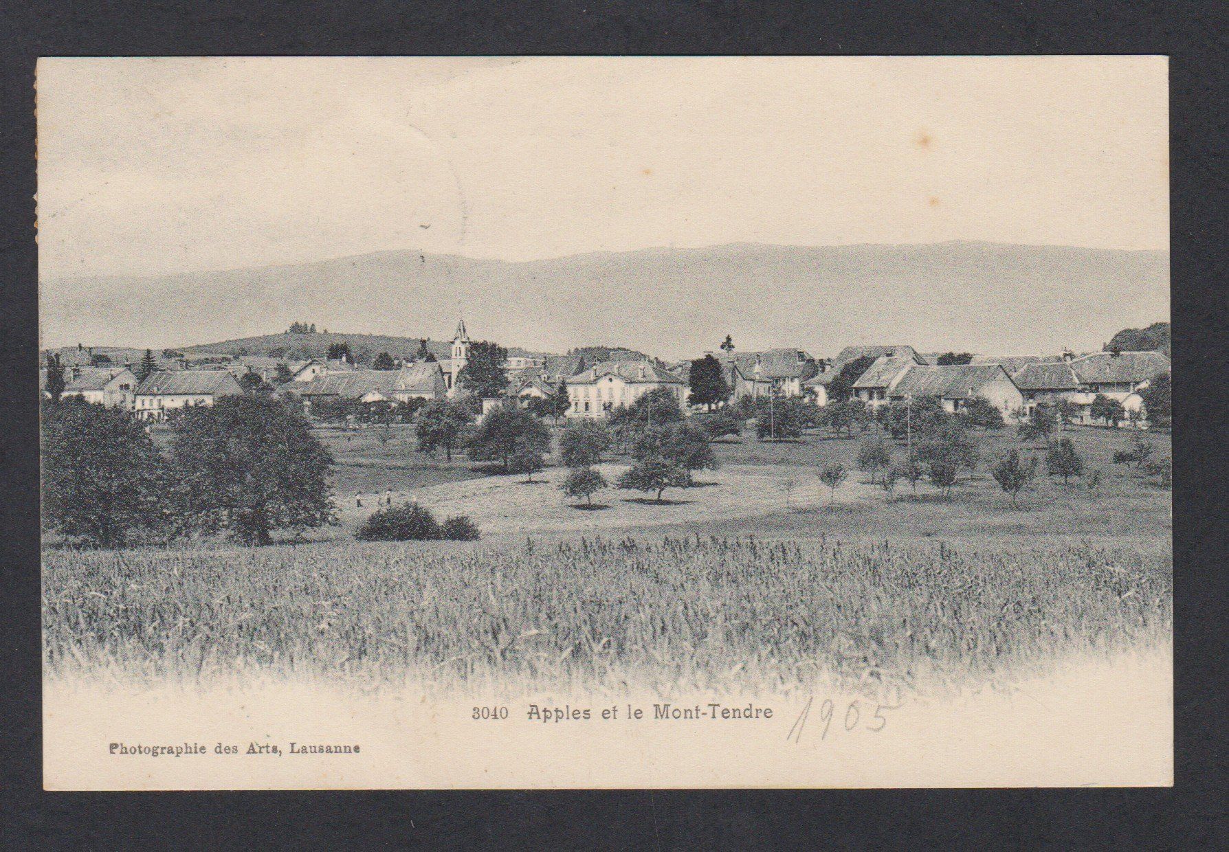 Ansichtskarten: Apples    VD   :   alte Ansichtskarte von 1906 – Gebraucht aus Vitznau von Ropaku