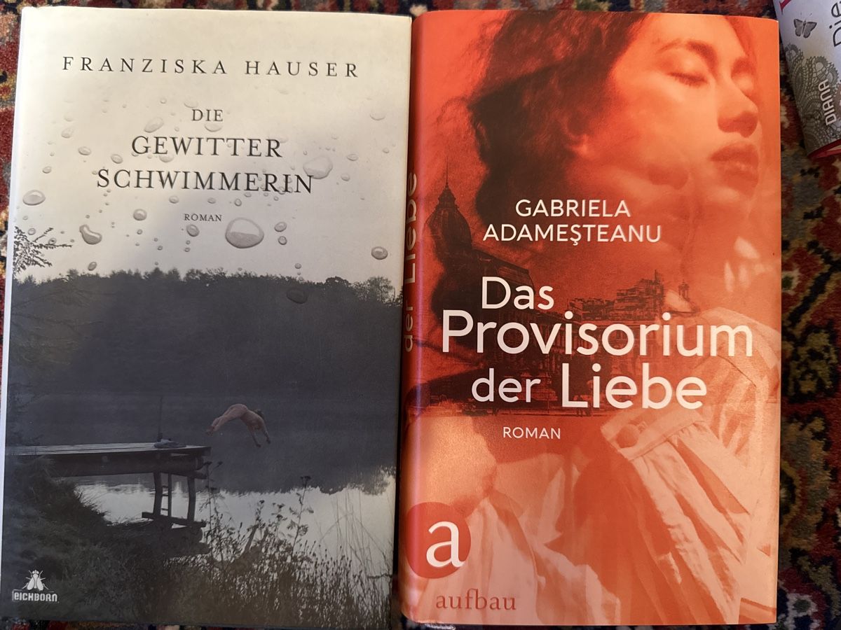 Libri: Die Gewitterschwimmerin & Provisorium der Liebe – Usato da Zürich venduto da jack6str