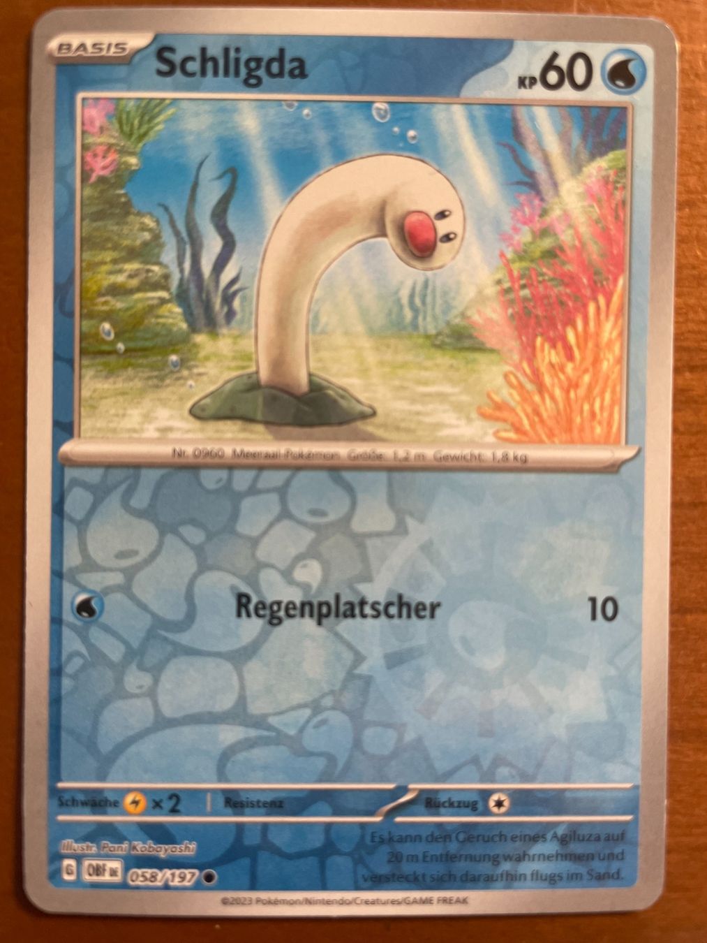 Pokémon Carte collezionabili: Pokemon Schligda Reverse (Versand gratis) – Nuovo (secondo la descrizione) da Chur venduto da Angerson