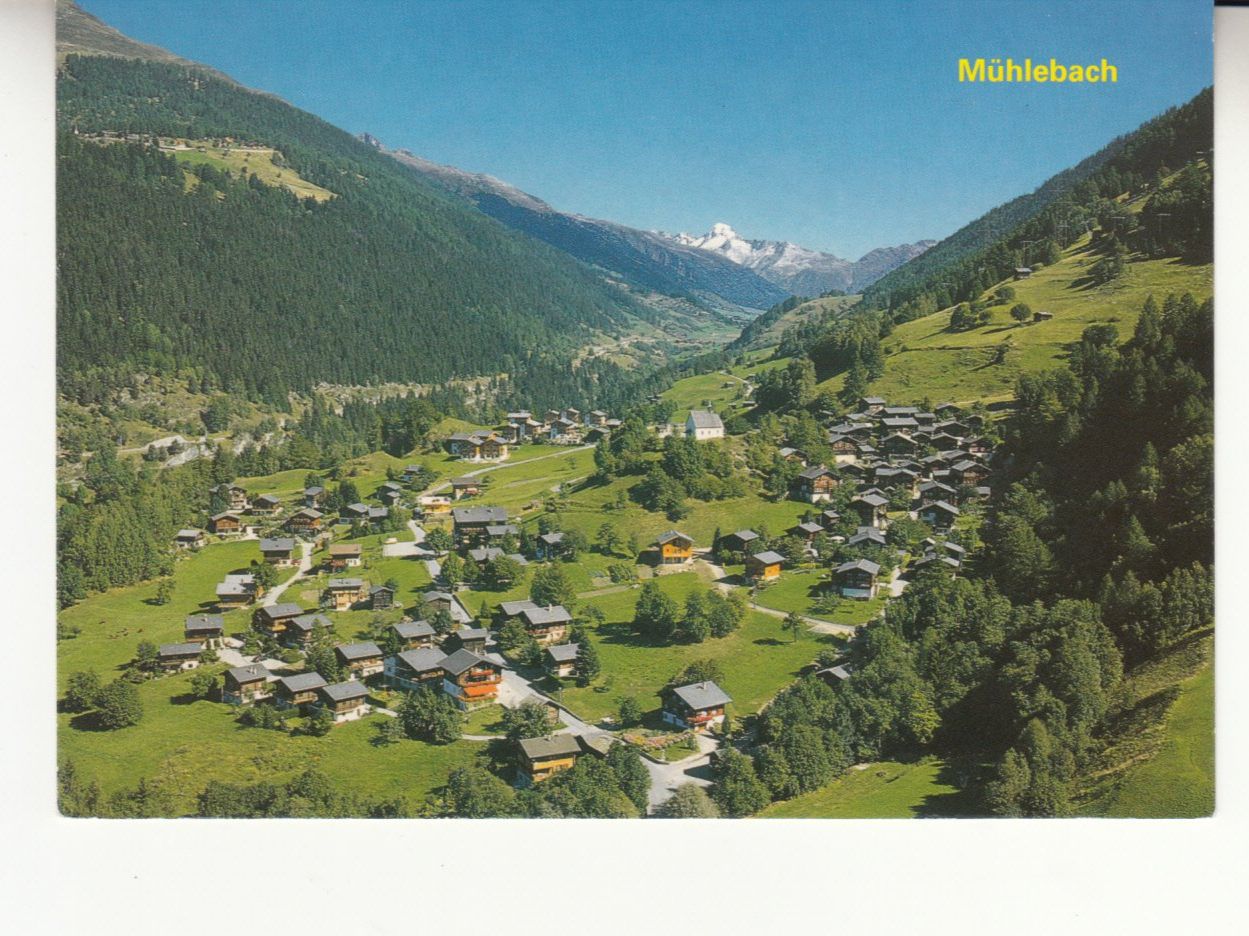 Cartoline postali: Mühlebach 2004 – Usato da Bürglen TG venduto da StampGraf
