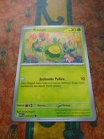 POKEMON  Knospi   H  ASC DE   016/217   KP30   2026
