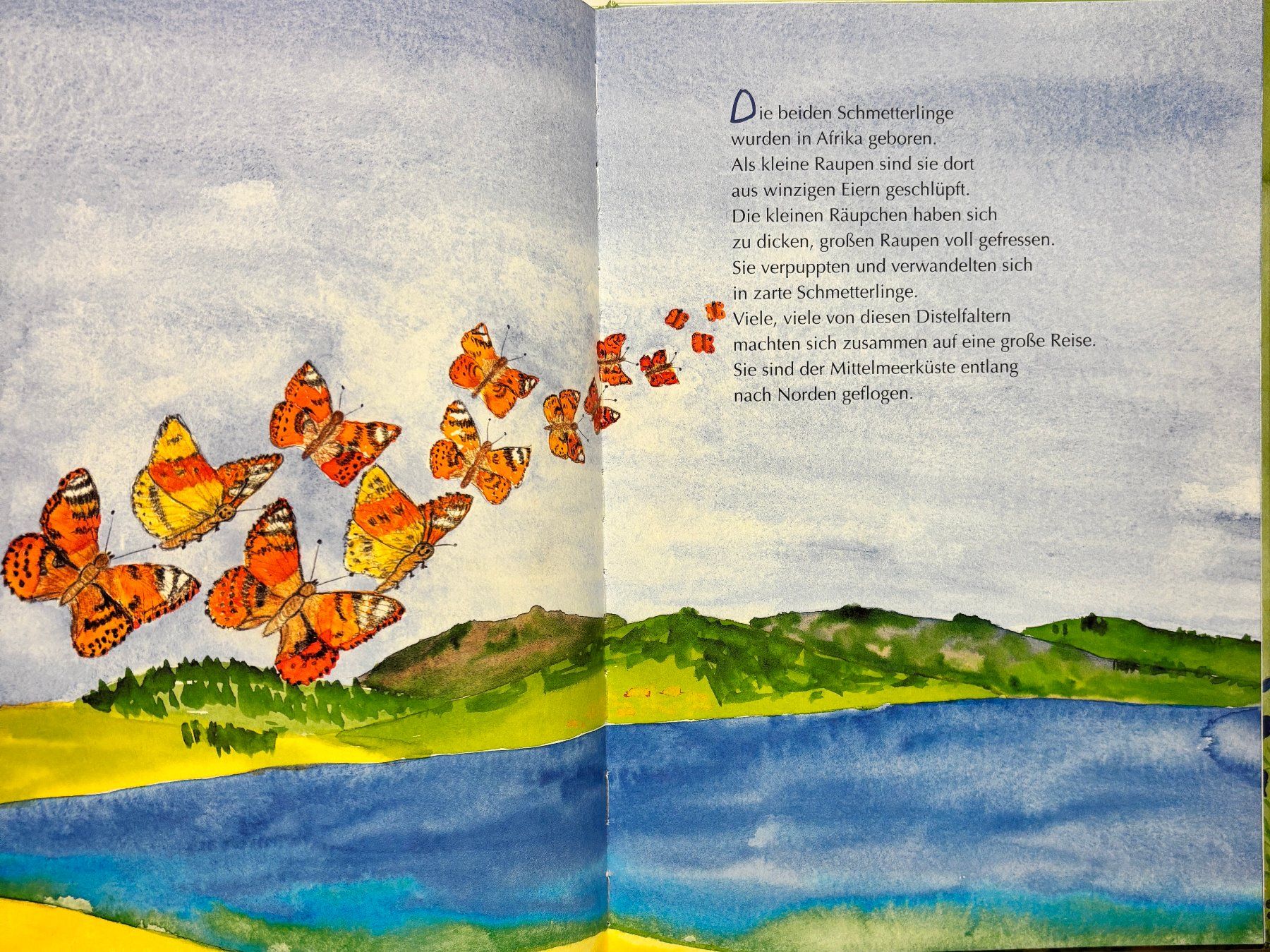 Libri: Neumann Ulla, Violet und die Schmetterlinge – Nuovo (secondo la descrizione) da Sarnen venduto da Livres 4