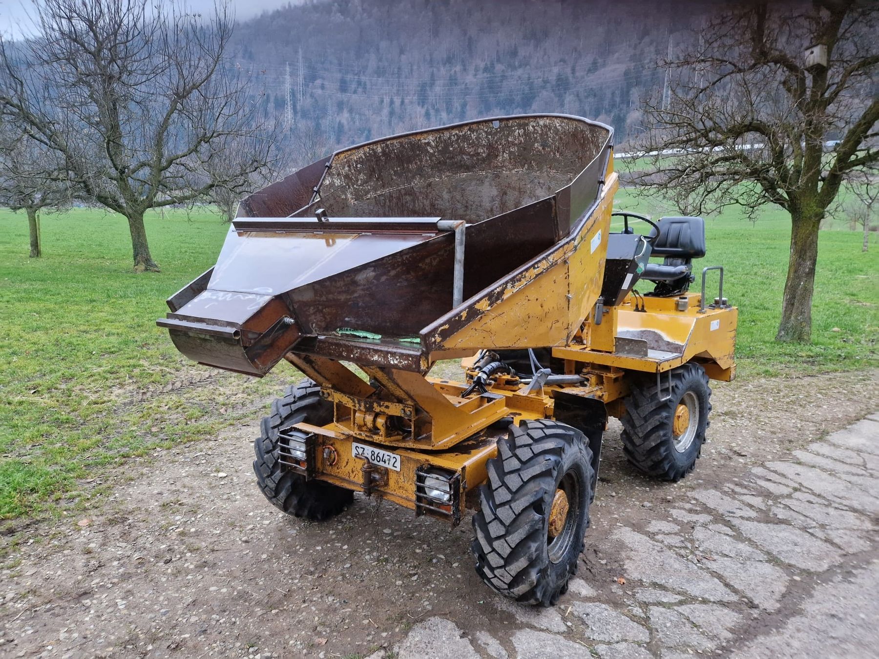 Kipper: Dumper Alpin 112-L-J – Gebraucht aus Arth von meiann 3
