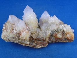 Quartz var. Amethyst & Kaktus